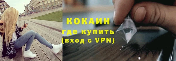apvp Пестово