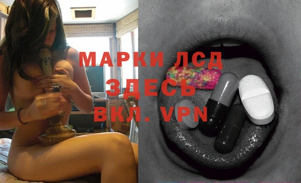 молекула духа Арсеньев
