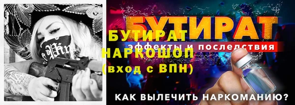 молекула духа Арсеньев