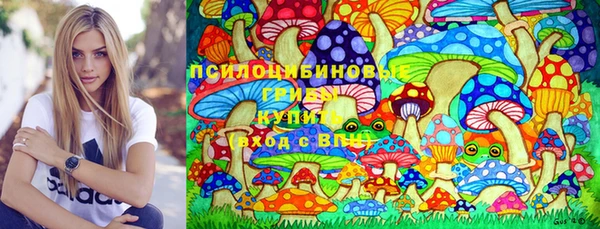 мяу мяу мука Аркадак