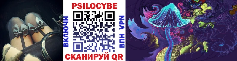 Галлюциногенные грибы GOLDEN TEACHER  где купить наркоту  Галич 